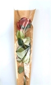 5 stk. rosenposer med papir bagerst på rosen posen. Ca. 65 cm. Til en enkelt rose. Leveres uden blomst.